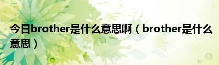 今日brother是什么意思啊（brother是什么意思）
