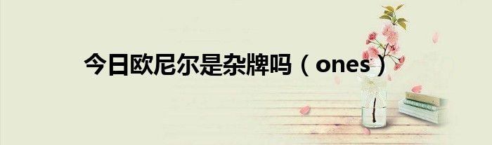 今日欧尼尔是杂牌吗（ones）