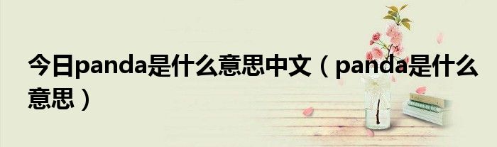 今日panda是什么意思中文（panda是什么意思）