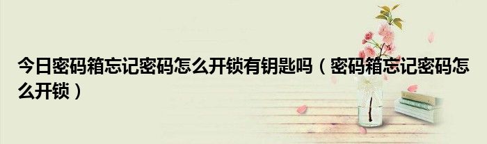 今日密码箱忘记密码怎么开锁有钥匙吗（密码箱忘记密码怎么开锁）