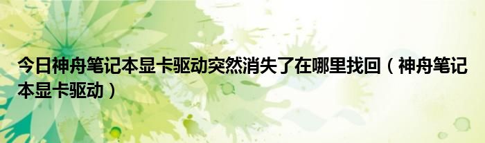 今日神舟笔记本显卡驱动突然消失了在哪里找回（神舟笔记本显卡驱动）