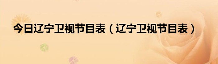今日辽宁卫视节目表（辽宁卫视节目表）