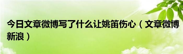 今日文章微博写了什么让姚笛伤心（文章微博新浪）