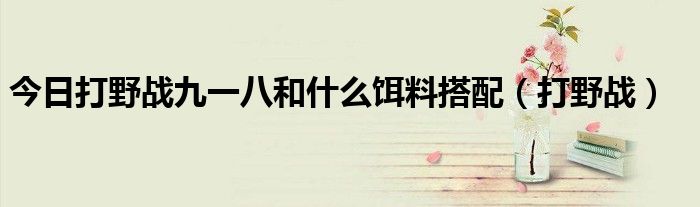 今日打野战九一八和什么饵料搭配（打野战）