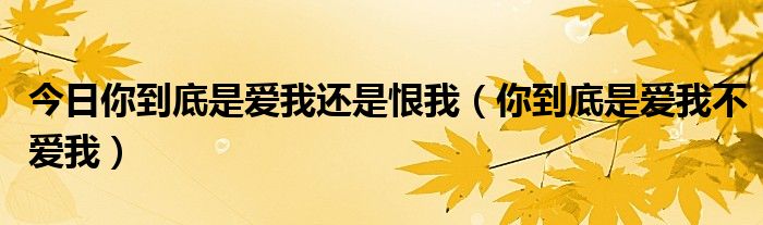 今日你到底是爱我还是恨我（你到底是爱我不爱我）