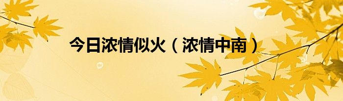 今日浓情似火（浓情中南）