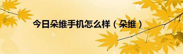 今日朵维手机怎么样（朵维）
