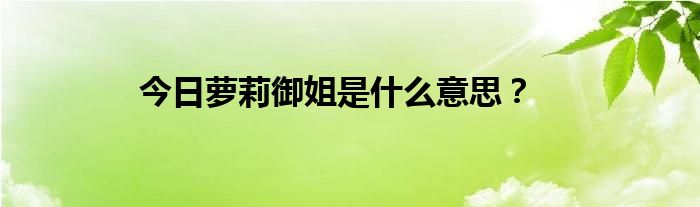 今日萝莉御姐是什么意思？