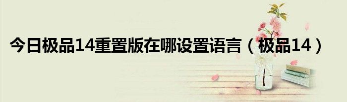 今日极品14重置版在哪设置语言（极品14）