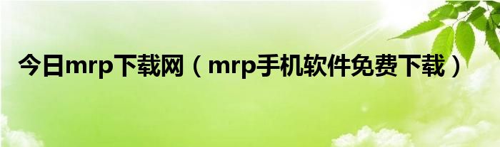 今日mrp下载网（mrp手机软件免费下载）