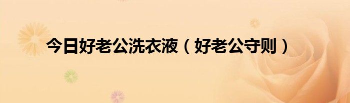 今日好老公洗衣液（好老公守则）