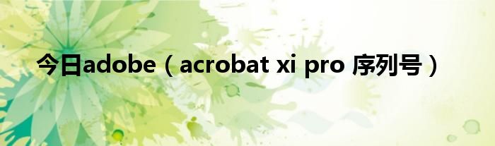 今日adobe（acrobat xi pro 序列号）