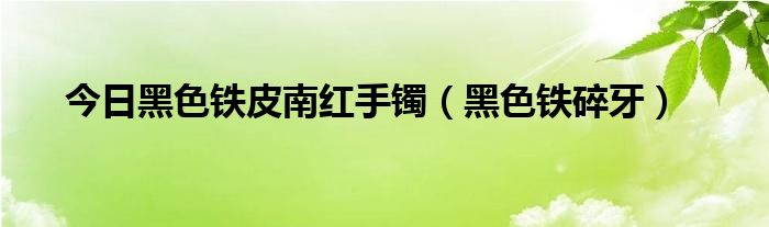 今日黑色铁皮南红手镯（黑色铁碎牙）