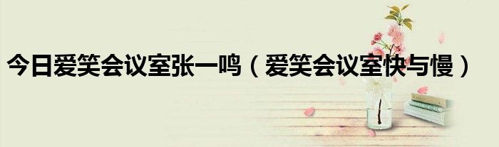 今日爱笑会议室张一鸣（爱笑会议室快与慢）