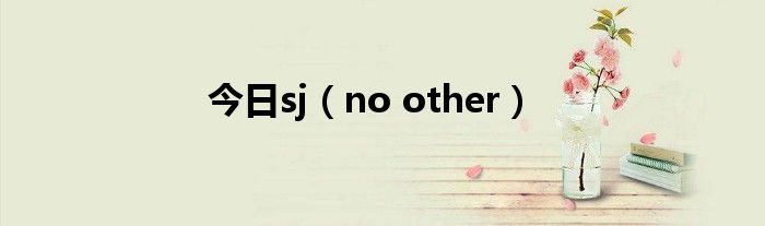 今日sj（no other）