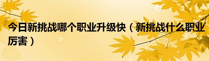 今日新挑战哪个职业升级快（新挑战什么职业厉害）