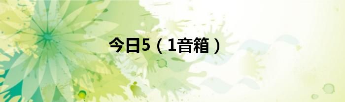 今日5（1音箱）