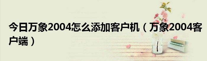 今日万象2004怎么添加客户机（万象2004客户端）