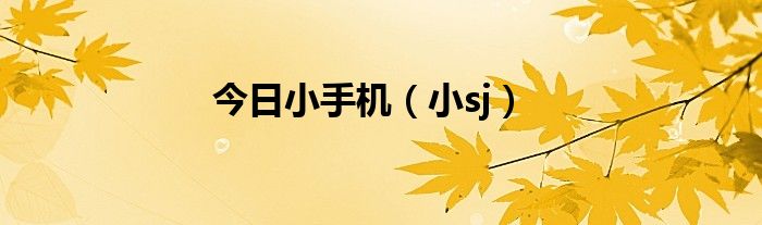 今日小手机（小sj）