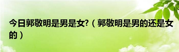 今日郭敬明是男是女?（郭敬明是男的还是女的）
