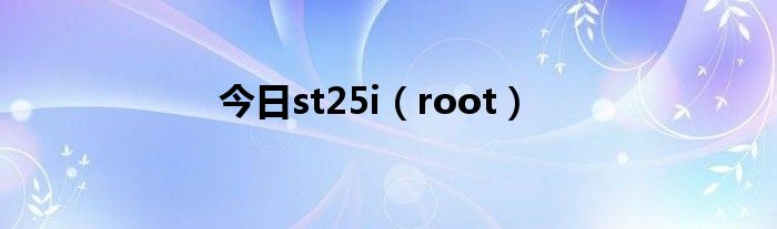 今日st25i（root）