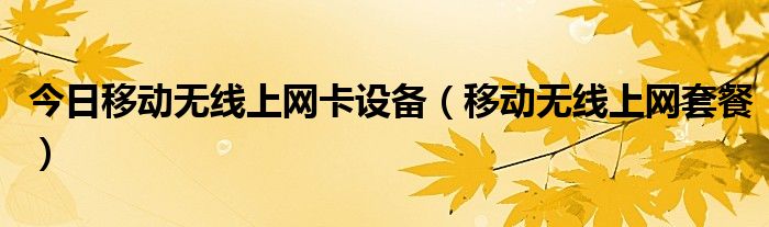 今日移动无线上网卡设备（移动无线上网套餐）