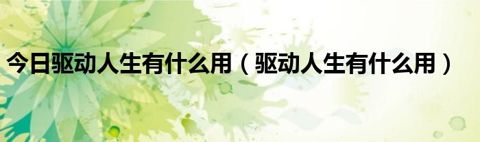 今日驱动人生有什么用（驱动人生有什么用）