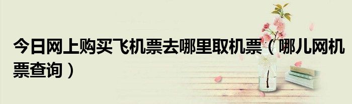 今日网上购买飞机票去哪里取机票（哪儿网机票查询）