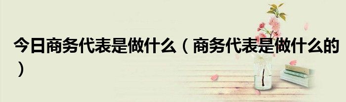 今日商务代表是做什么（商务代表是做什么的）