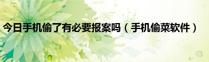 今日手机偷了有必要报案吗（手机偷菜软件）