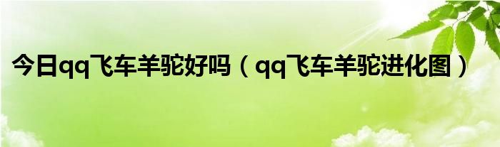 今日qq飞车羊驼好吗（qq飞车羊驼进化图）