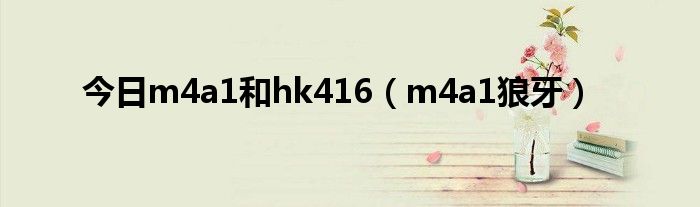 今日m4a1和hk416（m4a1狼牙）