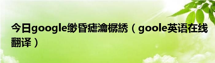 今日google缈昏瘧瀹樼綉（goole英语在线翻译）