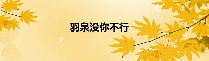 羽泉没你不行