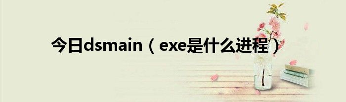 今日dsmain（exe是什么进程）