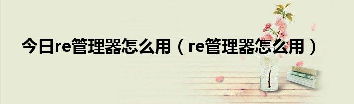 今日re管理器怎么用（re管理器怎么用）