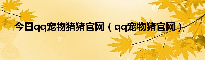 今日qq宠物猪猪官网（qq宠物猪官网）