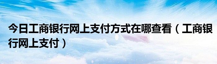 今日工商银行网上支付方式在哪查看（工商银行网上支付）