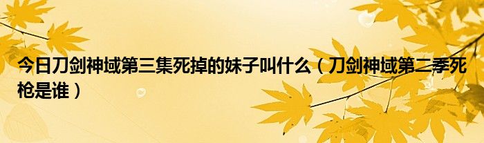 今日刀剑神域第三集死掉的妹子叫什么（刀剑神域第二季死枪是谁）