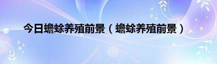 今日蟾蜍养殖前景（蟾蜍养殖前景）