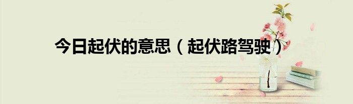 今日起伏的意思（起伏路驾驶）