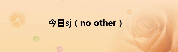 今日sj（no other）