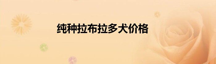纯种拉布拉多犬价格
