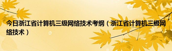 今日浙江省计算机三级网络技术考纲（浙江省计算机三级网络技术）