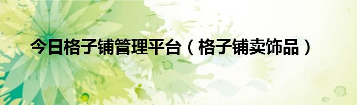 今日格子铺管理平台（格子铺卖饰品）
