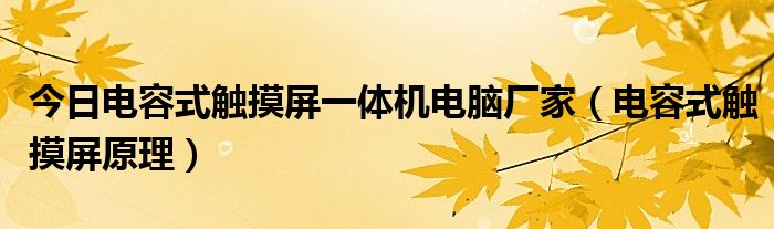 今日电容式触摸屏一体机电脑厂家（电容式触摸屏原理）