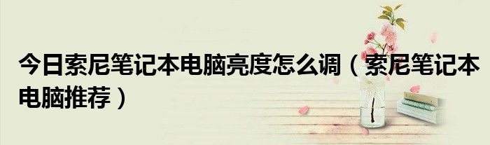 今日索尼笔记本电脑亮度怎么调（索尼笔记本电脑推荐）