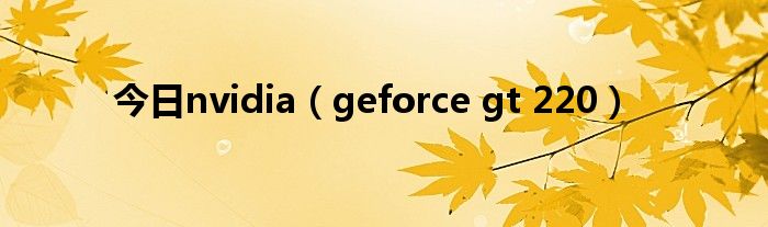 今日nvidia（geforce gt 220）