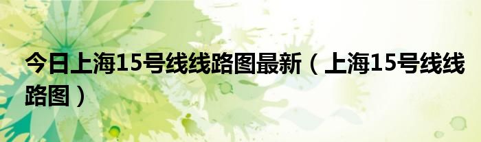 今日上海15号线线路图最新（上海15号线线路图）