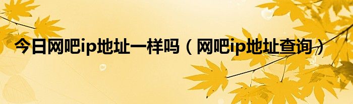 今日网吧ip地址一样吗（网吧ip地址查询）